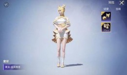 和平精英中转盘下一期最新爆料,下一期神秘内容提前揭晓！